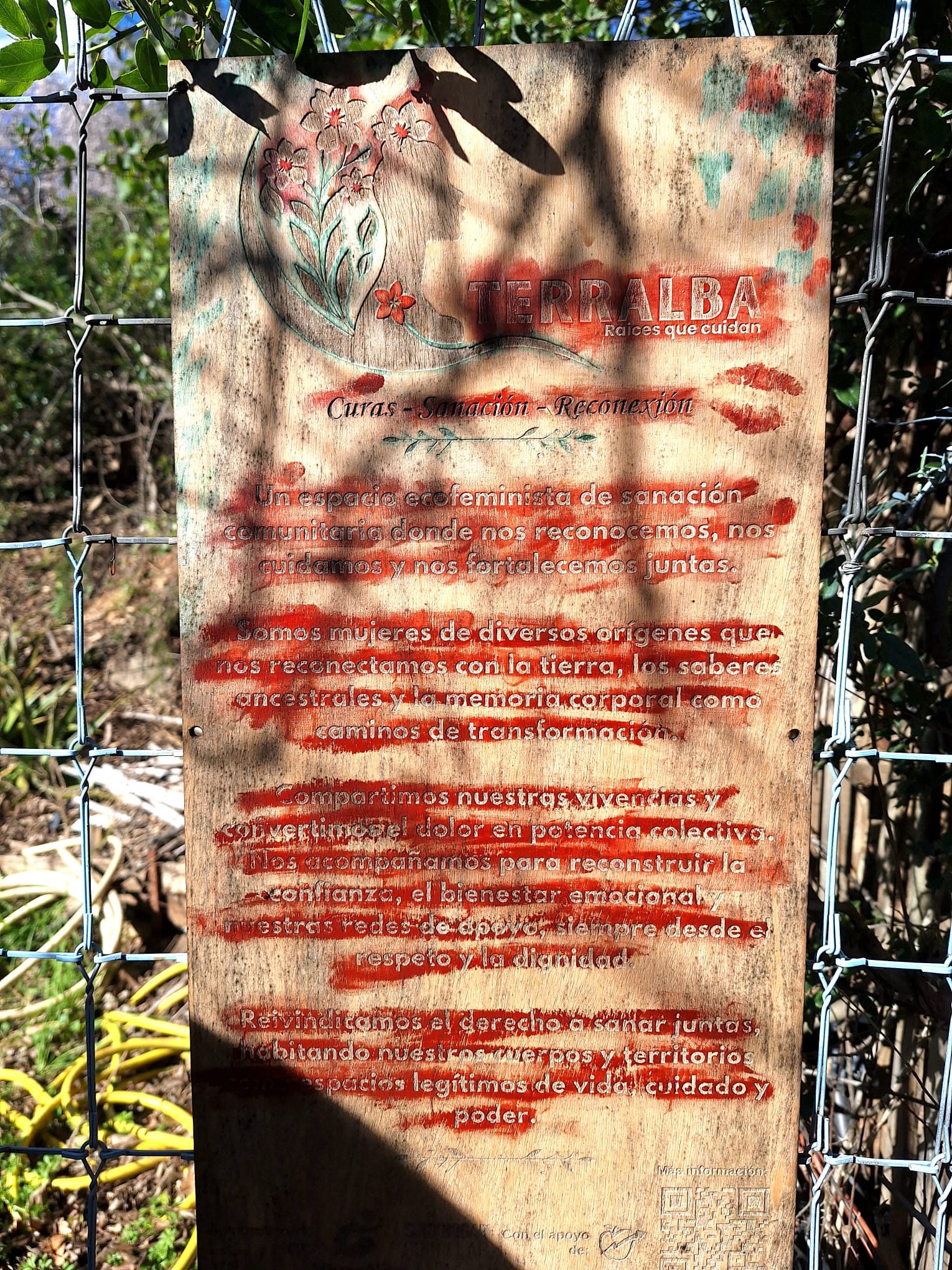 WhatsApp Image 2026-02-08 at 13.57.22