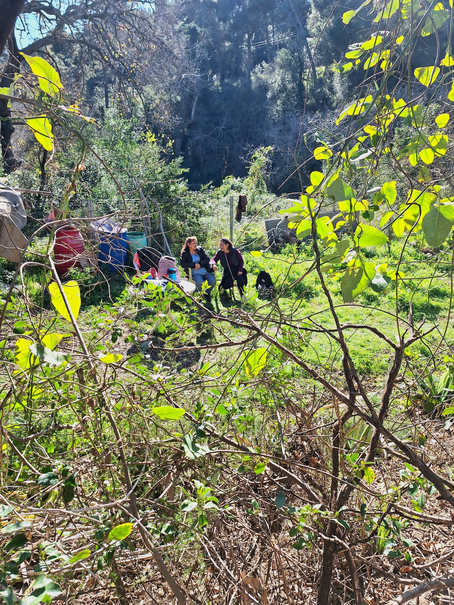 WhatsApp Image 2026-02-08 at 14.00.20