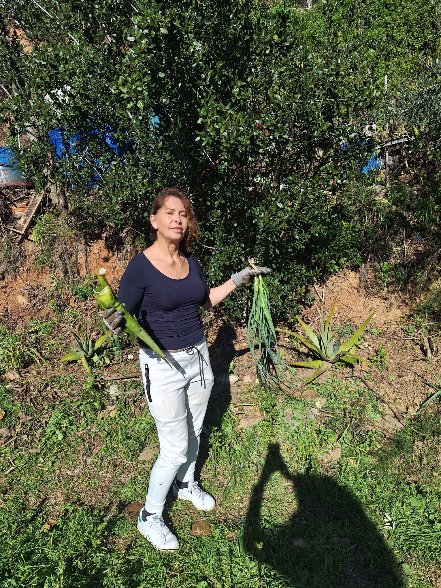 WhatsApp Image 2026-02-08 at 14.08.01